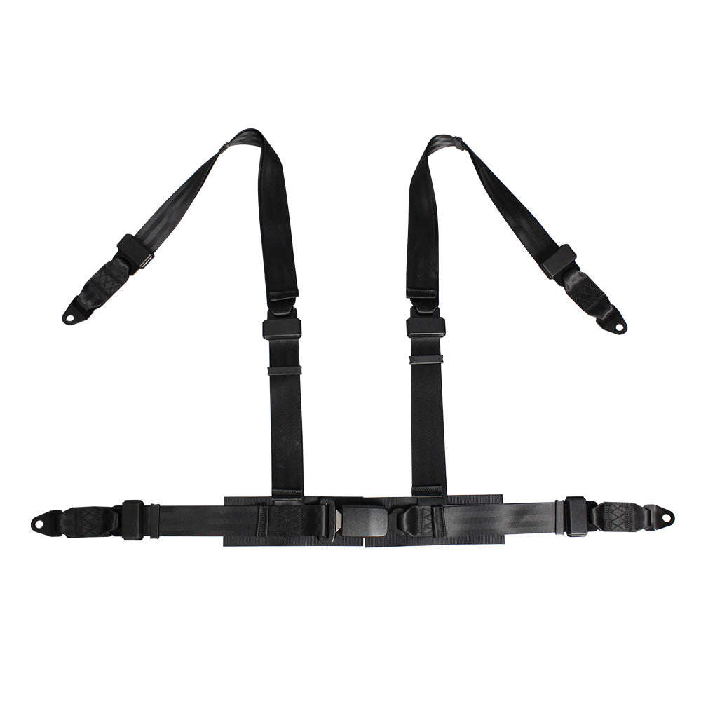 4 Points Racing Safety Belt FER006