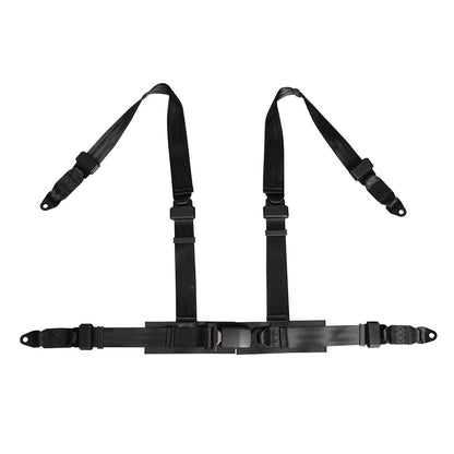4 Points Racing Safety Belt FER006