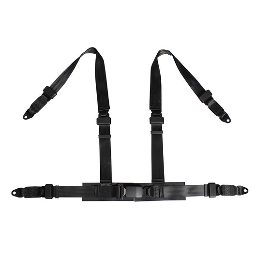 4 Points Racing Safety Belt FER006