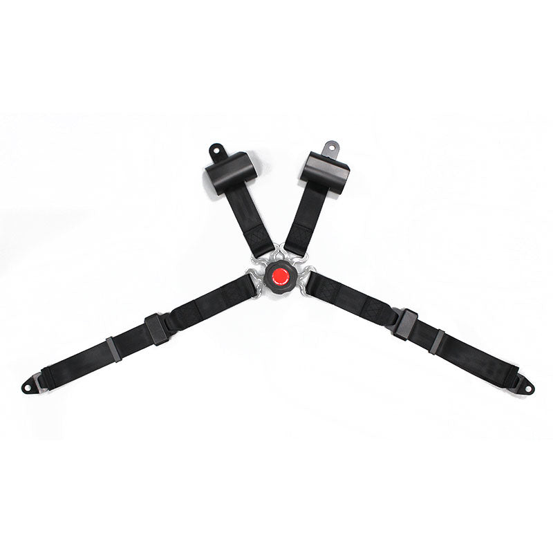 4 Points Racing Safety Belt FER020