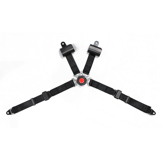 4 Points Racing Safety Belt FER020