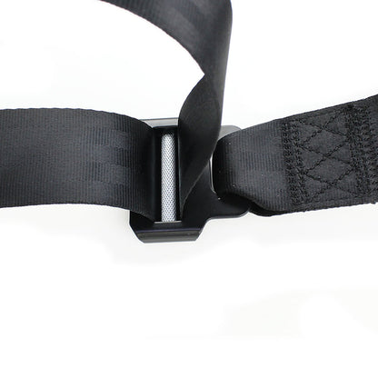 4 Points Racing Safety Belt FER035
