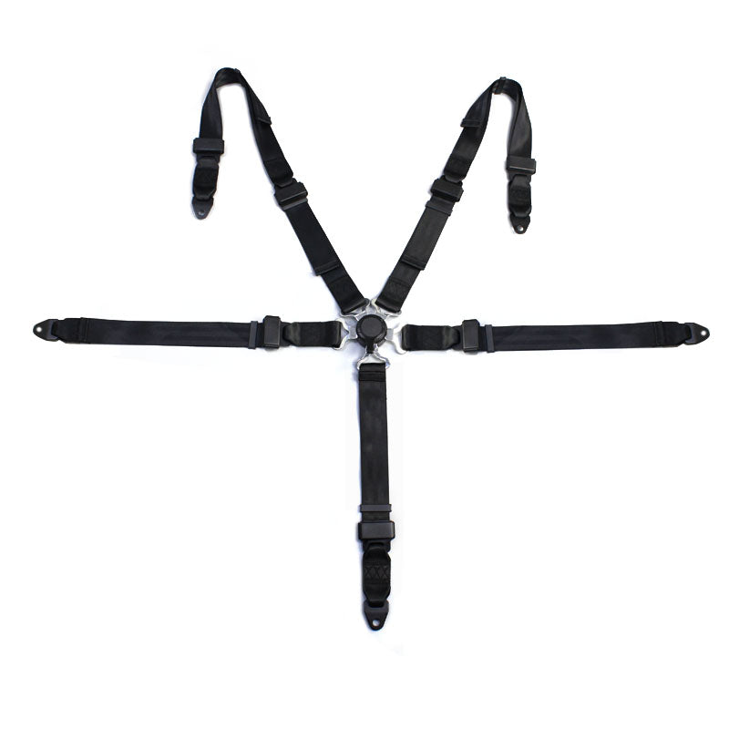 4 Points Racing Safety Belt FER035