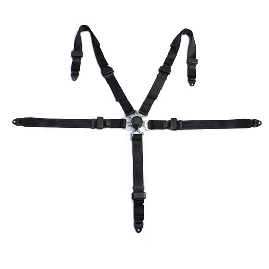 4 Points Racing Safety Belt FER035