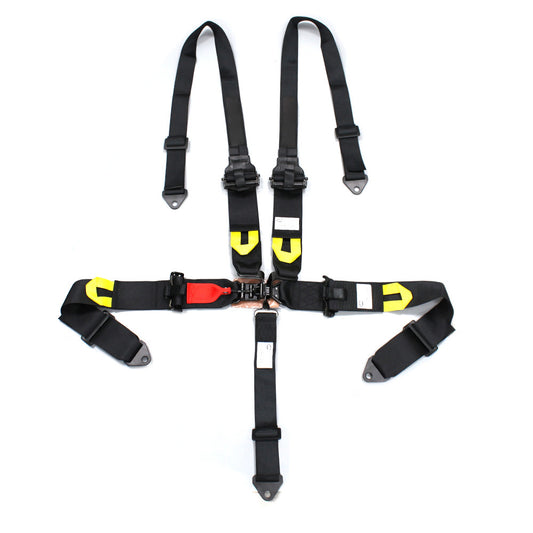 4 Points Racing Safety Belt FER037