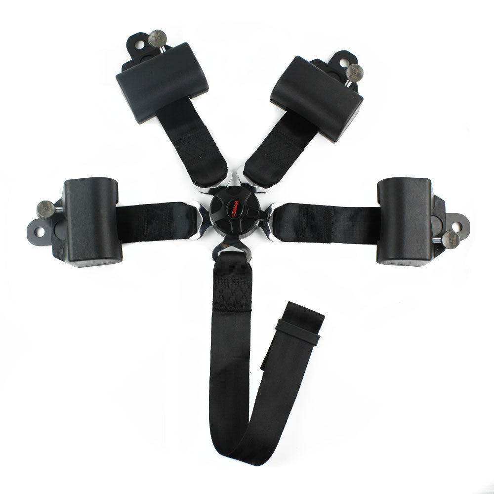 4 Points Racing Safety Belt FER044