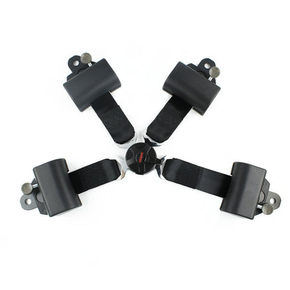 4 Points Racing Safety Belt FER045