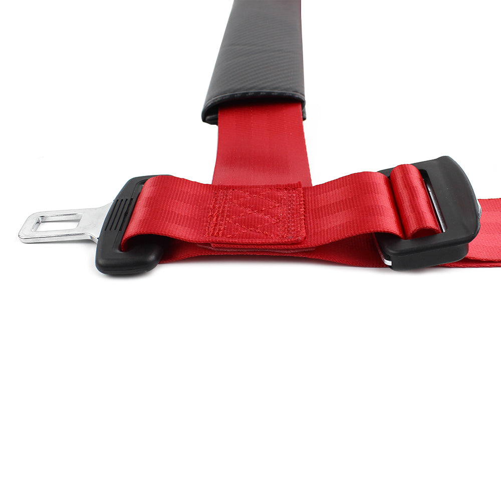 4 Points Racing Safety Belt FER050