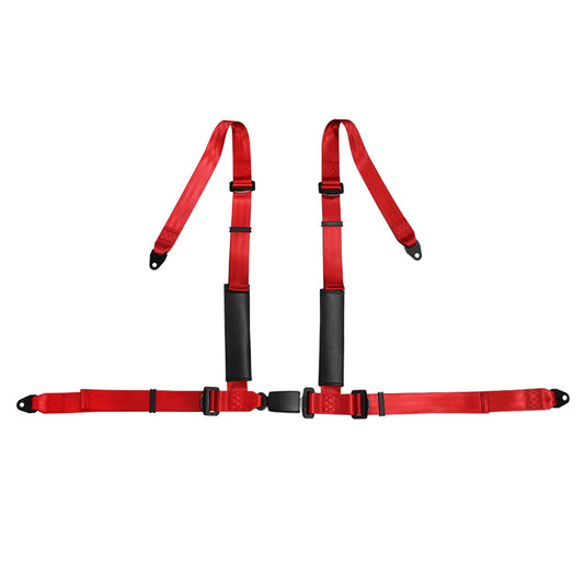4 Points Racing Safety Belt FER050