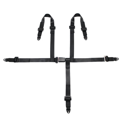 4 Points Racing Safety Belt FER054