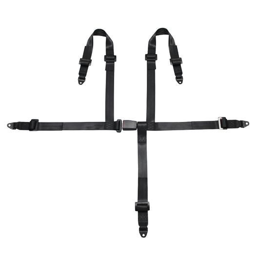 4 Points Racing Safety Belt FER054