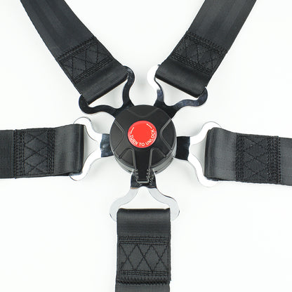 4 Points Racing Safety Belt FER056