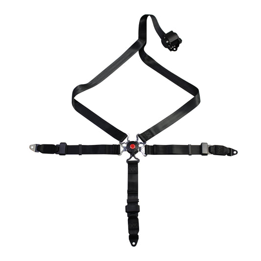 4 Points Racing Safety Belt FER056